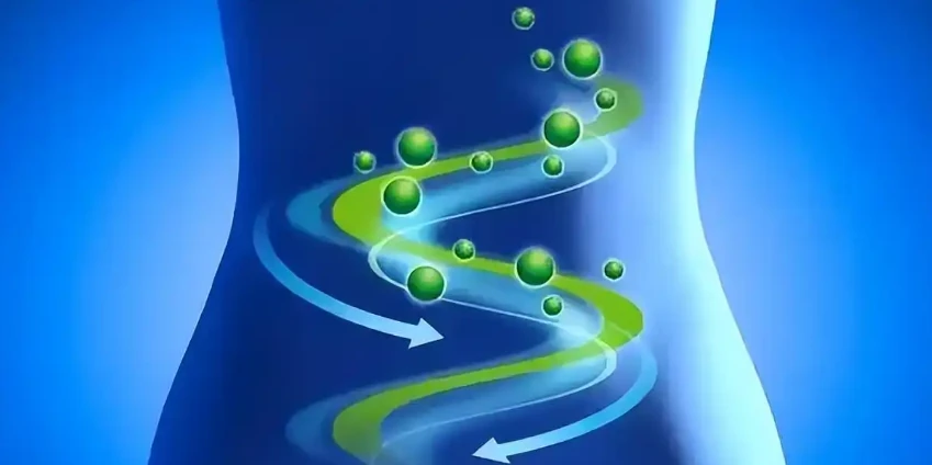 Bioglutide NA-931 application | Shaanxi BLOOM Tech Co., Ltd Bioglutide NA-931 application | Shaanxi BLOOM Tech Co., Ltd