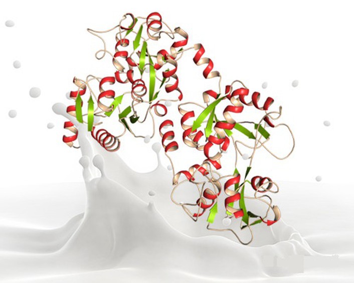 Nefiracetam Liquid use | Shaanxi BLOOM Tech Co., Ltd Nefiracetam Liquid use | Shaanxi BLOOM Tech Co., Ltd