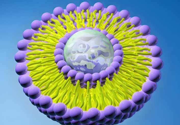 Nefiracetam Liquid use | Shaanxi BLOOM Tech Co., Ltd Nefiracetam Liquid use | Shaanxi BLOOM Tech Co., Ltd