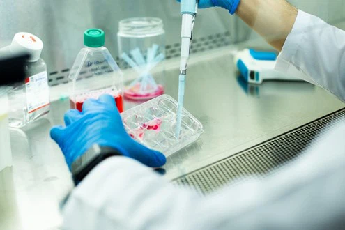 ACE 031 Peptide | Shaanxi BLOOM Tech Co., Ltd ACE 031 Peptide | Shaanxi BLOOM Tech Co., Ltd