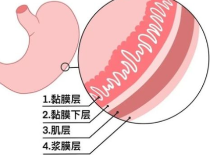 Met-enkephalin Cost | Shaanxi BLOOM Tech Co., Ltd Met-enkephalin Cost | Shaanxi BLOOM Tech Co., Ltd