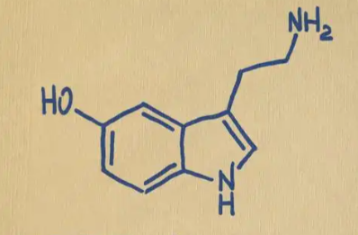 Met-enkephalin Supply | Shaanxi BLOOM Tech Co., Ltd Met-enkephalin Supply | Shaanxi BLOOM Tech Co., Ltd