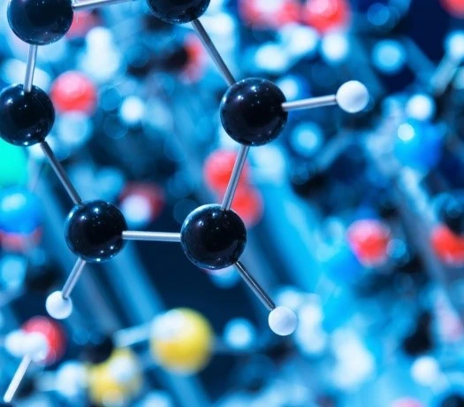 Carnosine Peptide buy | Bloomtechz Carnosine Peptide buy | Bloomtechz