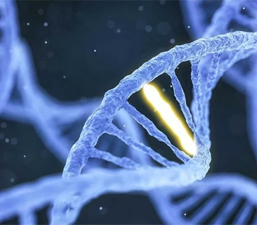 Carnosine Peptide cost | Bloomtechz Carnosine Peptide cost | Bloomtechz